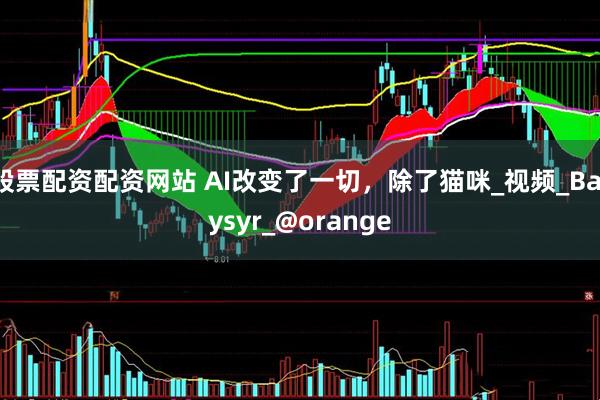 股票配资配资网站 AI改变了一切，除了猫咪_视频_Batysyr_@orange