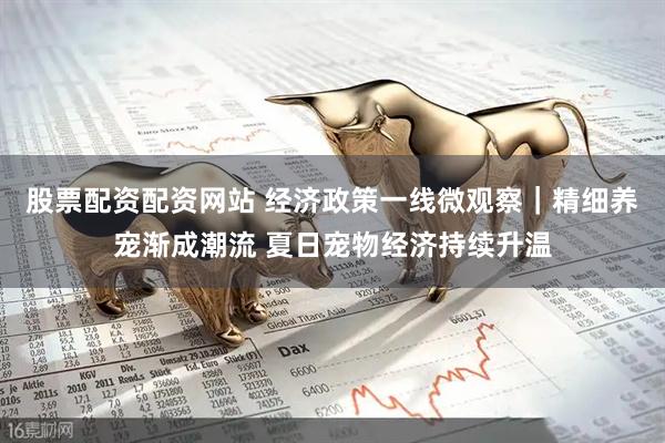 股票配资配资网站 经济政策一线微观察｜精细养宠渐成潮流 夏日宠物经济持续升温