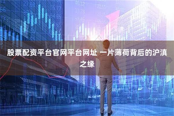 股票配资平台官网平台网址 一片薄荷背后的沪滇之缘
