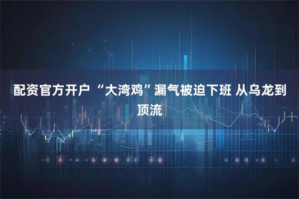 配资官方开户 “大湾鸡”漏气被迫下班 从乌龙到顶流